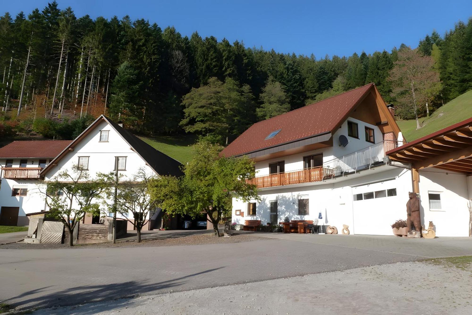 Holderstanzenhof Apartment Bad Peterstal-Griesbach Exterior photo